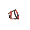 Harnais pour chien Martin Sellier M Rouge 25 mm 3007149