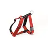 Harnais pour chien Martin Sellier L Rouge 40 mm 3007152
