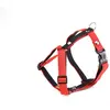 Harnais pour chien Martin Sellier S Rouge 15 mm 3007146