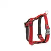 Harnais pour chien Martin Sellier S Rouge 15 mm 3009154