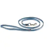 Laisse pour chien nylon Martin Sellier Bleu TU 3009526