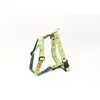 Harnais pour chien Martin Sellier M Vert 25 mm 3007161