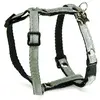 Harnais pour chien Martin Sellier Vert XS 3009144