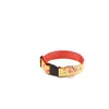 Collier pour chien Martin Sellier L Jaune 40 mm 3007142