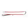 Laisse pour chien Etoiles Martin Sellier Rouge XS 3008349