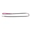 Laisse pour chien Etoiles Martin Sellier Noir XS 3008692