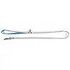 Laisse pour chien Etoiles Martin Sellier Gris XS 3008674