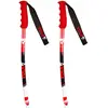 Vola 100 cm GS Ski Pole Junior Adulte Unisexe, Rouge