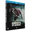Metro Ghosts of Georgia Blu-ray
