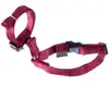 Muselière pour chien Martin Sellier Rouge Taille 3 3004489