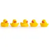 Aspergeurs de bain Jaune Canards - FORMULA BABY - Lot de 5 - Mixte - 6 mois et plus