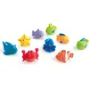 Aspergeurs x9 MULTICOLORE Formula Baby
