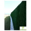 Haie artificielle JET7GARDEN 1,00x3m - vert sapin - 126 ultra