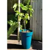 Bac à fleurs RIVIERA SOLEILLA - Plastique - Hauteur 53 cm - Bleu
