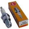 Greenstar JARDIN PRATIC Bougie d'allumage pour tondeuse NGK BPR5ES