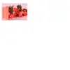 GENERIQUE guirlande micro-led - 7,5 m - rouge - 150 led - 16 fonctions mémoire - câble argent transparent