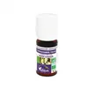 Docteur valnet gingembre frais huile essentielle 5ml