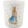 Timbale Pierre Lapin