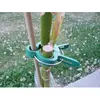 VILMORIN Clip épingle