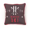 Today Coussin Gris Mountain Winter ski