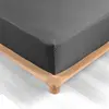 Douceur d'Intérieur Drap housse 160x200 cm - Percale 100% coton - Bonnet 30 cm - Anthracite