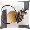 DOUCEUR D'INTERIEUR Coussin dehoussable compresse 45 x 45 cm velours imp. metal. clarity des place Sans