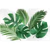 set de table 28.5 x 44 cm polypropylene opaque canopee Douceur d'Intérieur