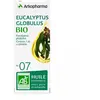 Arkopharma Huile essentielle Olfae N°7 Eucalyptus Globulus 10 ml