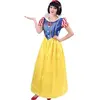 Déguisement adulte princesse des neiges taille L/XL FETE-66469