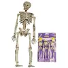 PtitClown Squelettes plastiques Halloween