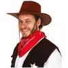 Chapeau cow boy imitation nubuck marron fonce