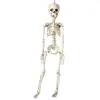Squelette en plastique - Halloween - 76cm