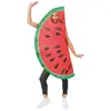 Costume pastèque Adulte - taille unique
