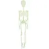 Squelette articulé à suspendre - phosphorescent - 150cm 24074PC