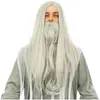 Perruque et barbe mage, Gris