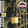 Cadenas en laiton massif MASTERLOCK 40 mm - Lot de 6 - 140EURSIX TU