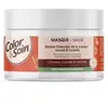 Color & Soin Masque