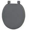 Douceur d'Intérieur Abattant wc mdf uni gris charnieres plastique theme vitamine Anthracite