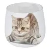 Paris Prix Bougie Anti-Odeurs Chat 8cm Blanc