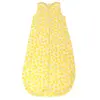 Pop Gigoteuse été Citrons