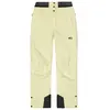 Pantalon de ski PICTURE EXA PANTS (G Wood Ash) femme