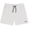 PICTURE Short de plage stretch Lenu pour hommes beige | S