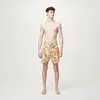 Picture Boardshort - ANDY 17 BRDS - Homme - 30 -