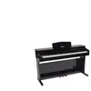 Woodbrass DP2 Noir Brillant