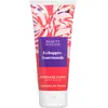 Beauty Success - Échappée Gourmande Gommage Corps 200ml