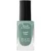 Beauty Success - Longue Tenue Vernis À Ongles N°24 Iced Green
