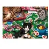 Puzzle Cats 1000 Pièces  Bluebird Puzzle