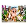 Good Companions 500 Pièces  Bluebird Puzzle