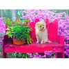 Puppy in the Colorful Garden 500 Pièces  Bluebird Puzzle