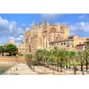 Bluebird Puzzle Palma de Majorque